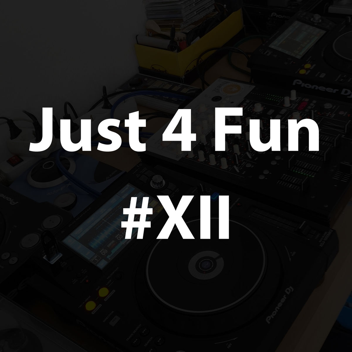 Just 4 Fun #XII [2020]